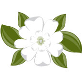 magnolia flower logo